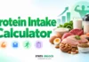 Protein Intake Calculator for Muscle Gain & Weight Loss protein intake calculator